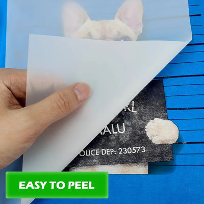 PET 열 전달 필름 L1800 805 1390 XP600 3200 4720 DX5 75mic 60cm * 100m 의류를 위한 흰색 잉크 인쇄 필름