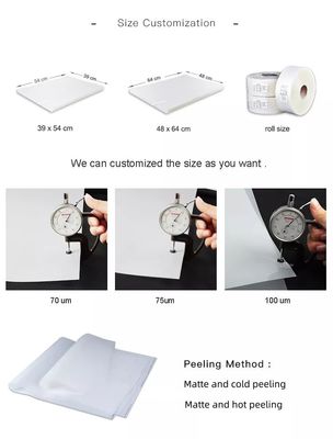 시리콘 오프셋 프린팅 필름 광택 50*70cm PET 릴리스 필름 스크린 프린팅