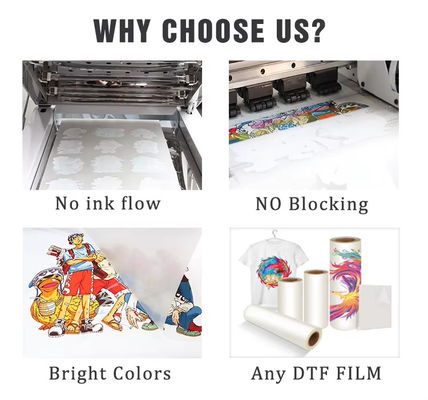 PET 전송 DTF 잉크 물 기반 CMYK+W 컬러 잉크 DTF 프린터 잉크