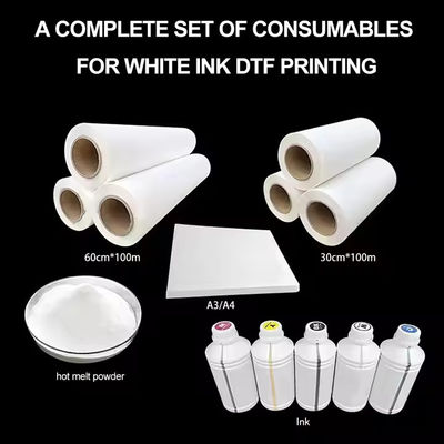 DTF 잉크젯 프린터용 30CM*100M Hot Peel Single Double Side Roll DTF 전송 필름